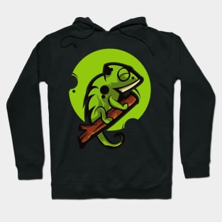 Chameleon Hoodie